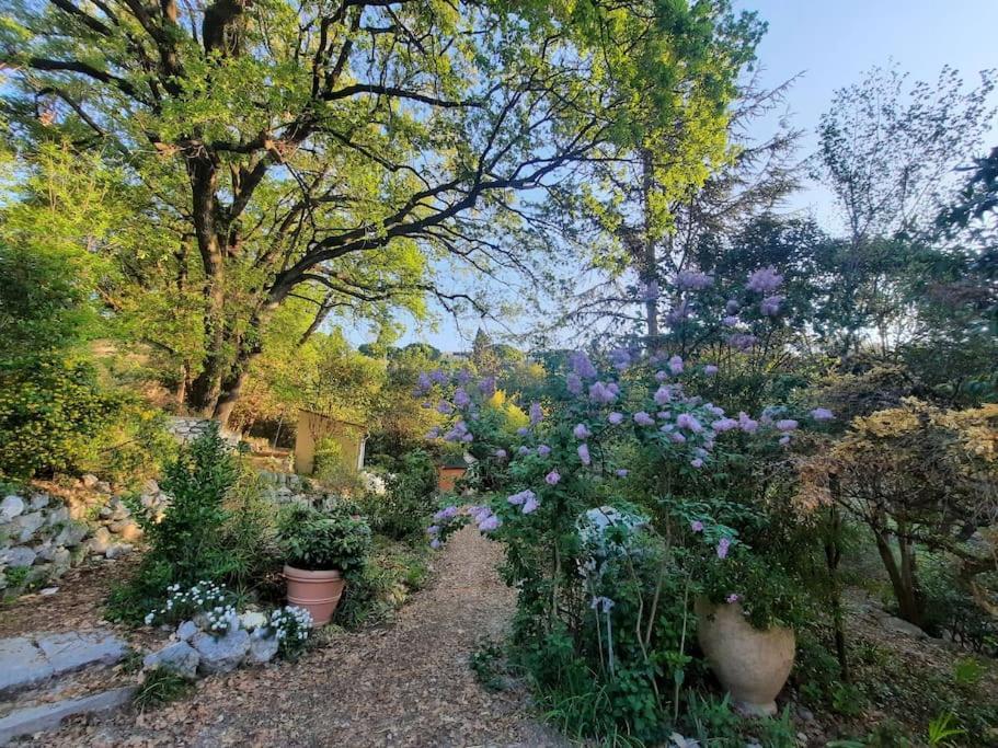 ונס Domaine Des Petites Soeurs A 800M Du Centre Historique Avec 5200M2 De Parc Arbore מראה חיצוני תמונה