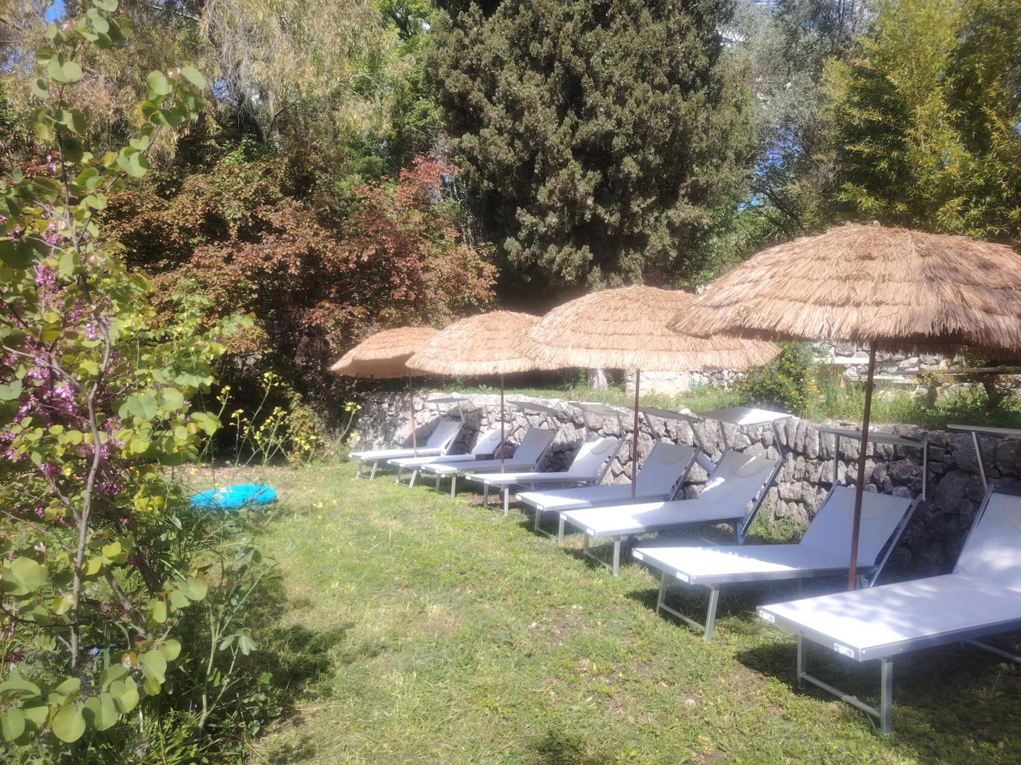ונס Domaine Des Petites Soeurs A 800M Du Centre Historique Avec 5200M2 De Parc Arbore מראה חיצוני תמונה